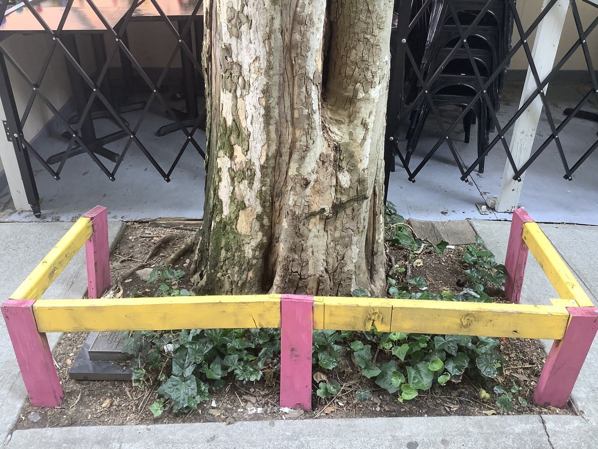 BaxterHogan's tweet photo. #Manhattan #Phillip #W11thSt 🙏

#TreesofNYC #treeBeds #streetTrees #NYC

#Londonplanetree
#PlatanusXacerfolia

@NYCParks 
@NYCGreenThumb 
@TreesNewYork 

https://t.co/nJTKUhPXXS https://t.co/YWXHDUH8cp