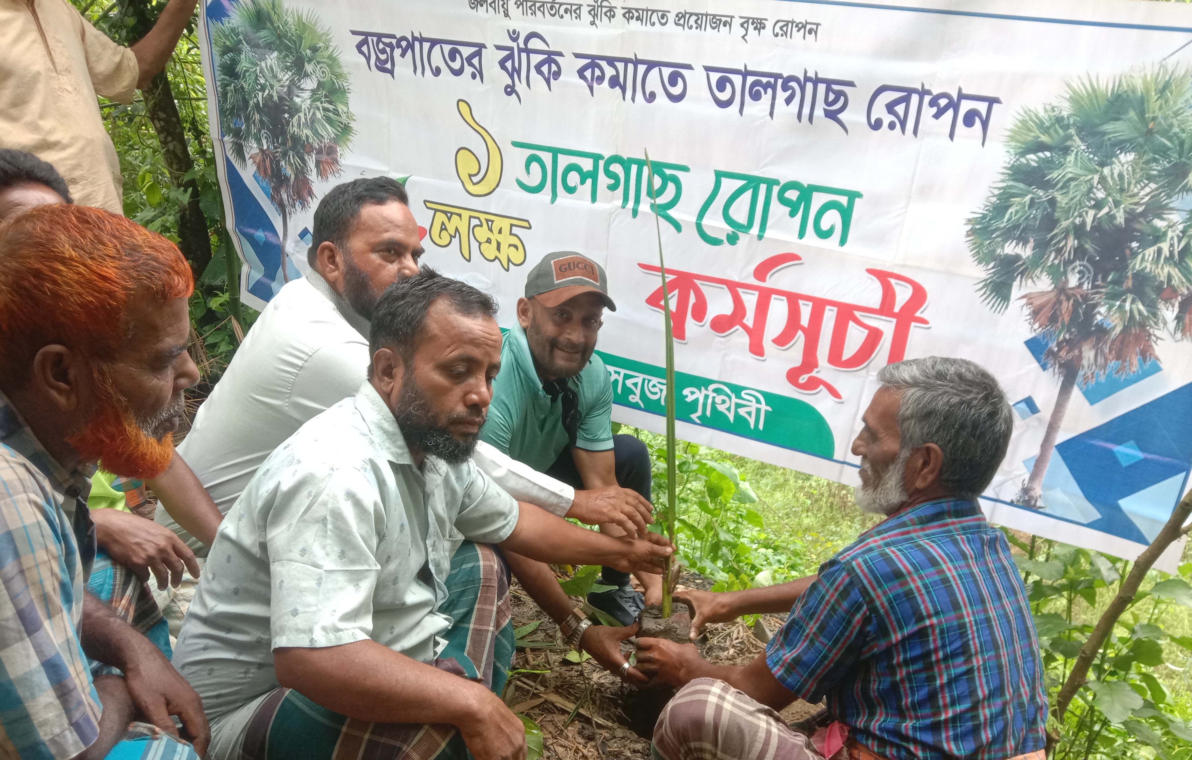 টাঙ্গাইলে বজ্রপাতের ঝুঁকি কমাতে কৃষকদের বাড়ীতে তালগাছ রোপণ
