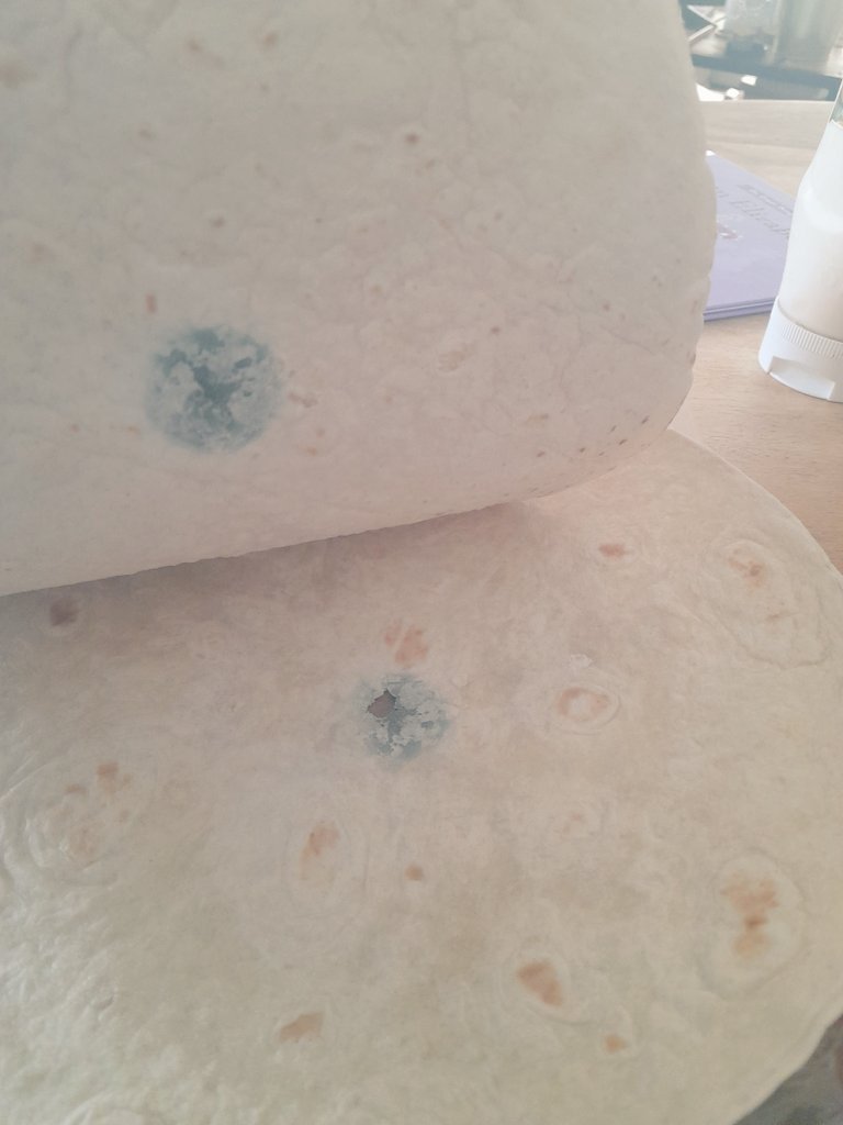 Beth Preston 🇦🇪 tweet media