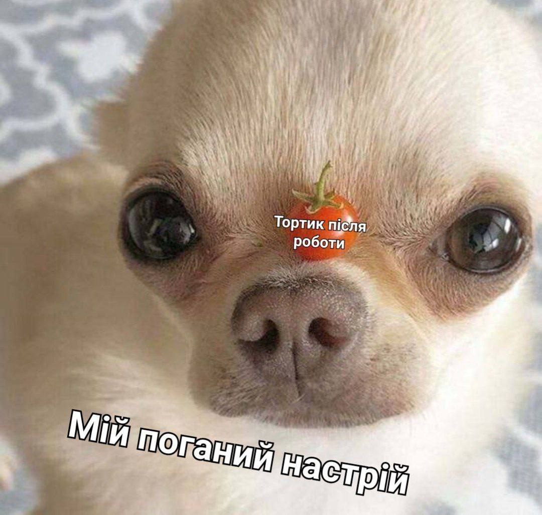 Любите тортики?
#меми #гумор #мем #приколи #сміх #україна #смішно #memes #прикол #ржака #lol #humor #жарт #ржач #лол #жарти #Ukraine #хаха #весело #настрій #ржачно #лайки #ukr #ua #мемчики