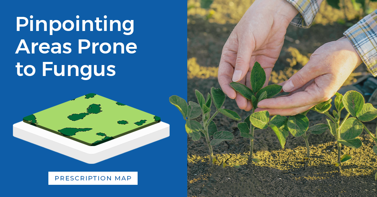 Low spots in fields are typically more susceptible to disease. To pinpoint areas prone to fungus, our agronomists use high-resolution, high-frequency satellite imagery within FarmCommand and utilize the data to generate VR Fungicide Prescription Maps. 

loom.ly/okrkYsw