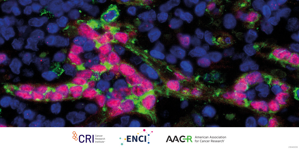 AACR tweet media