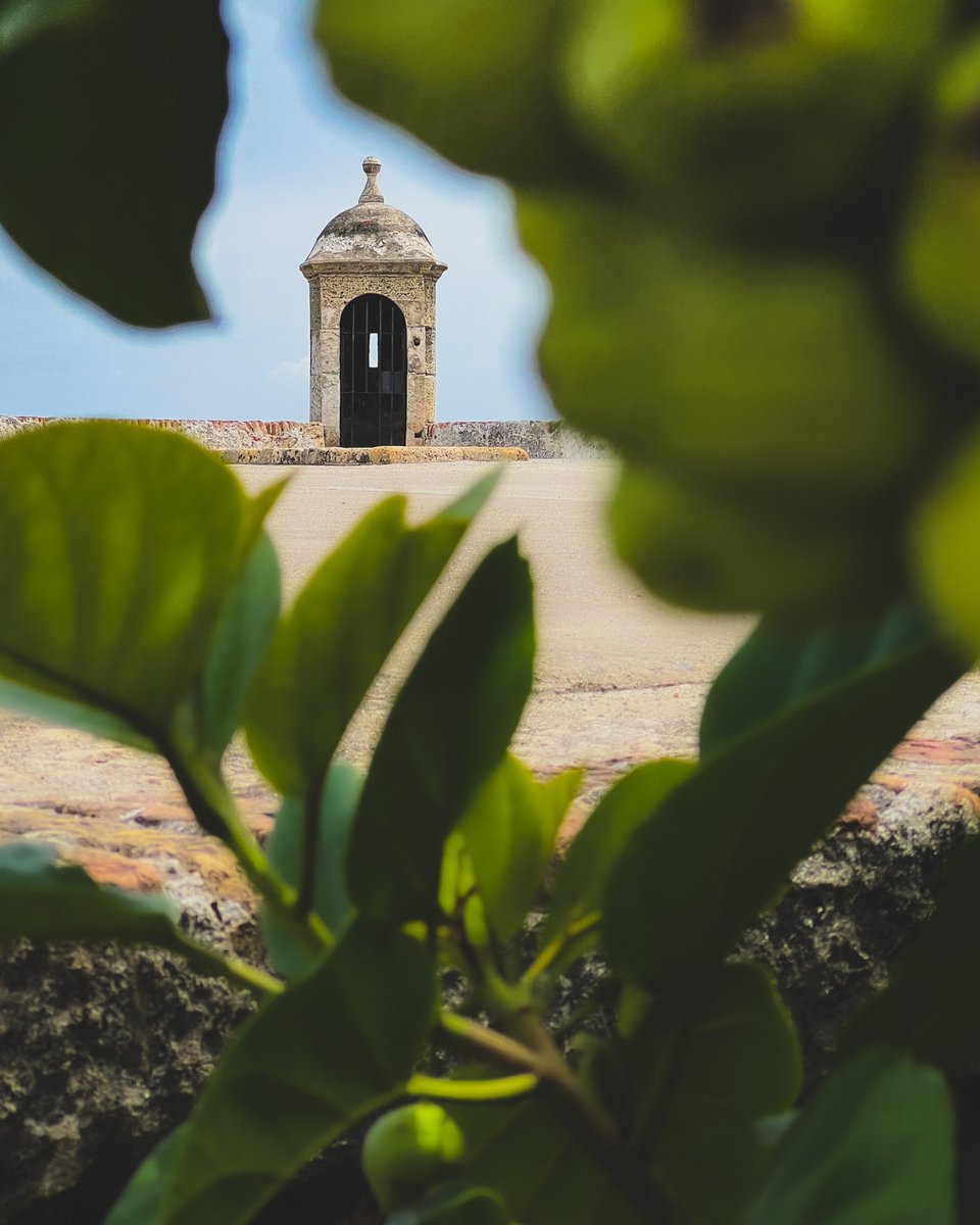 cp_castasus's tweet photo. Inside the Walled City of #Cartagena ☀️ #Colombia 🇨🇴 https://t.co/4wqMO0EvYB