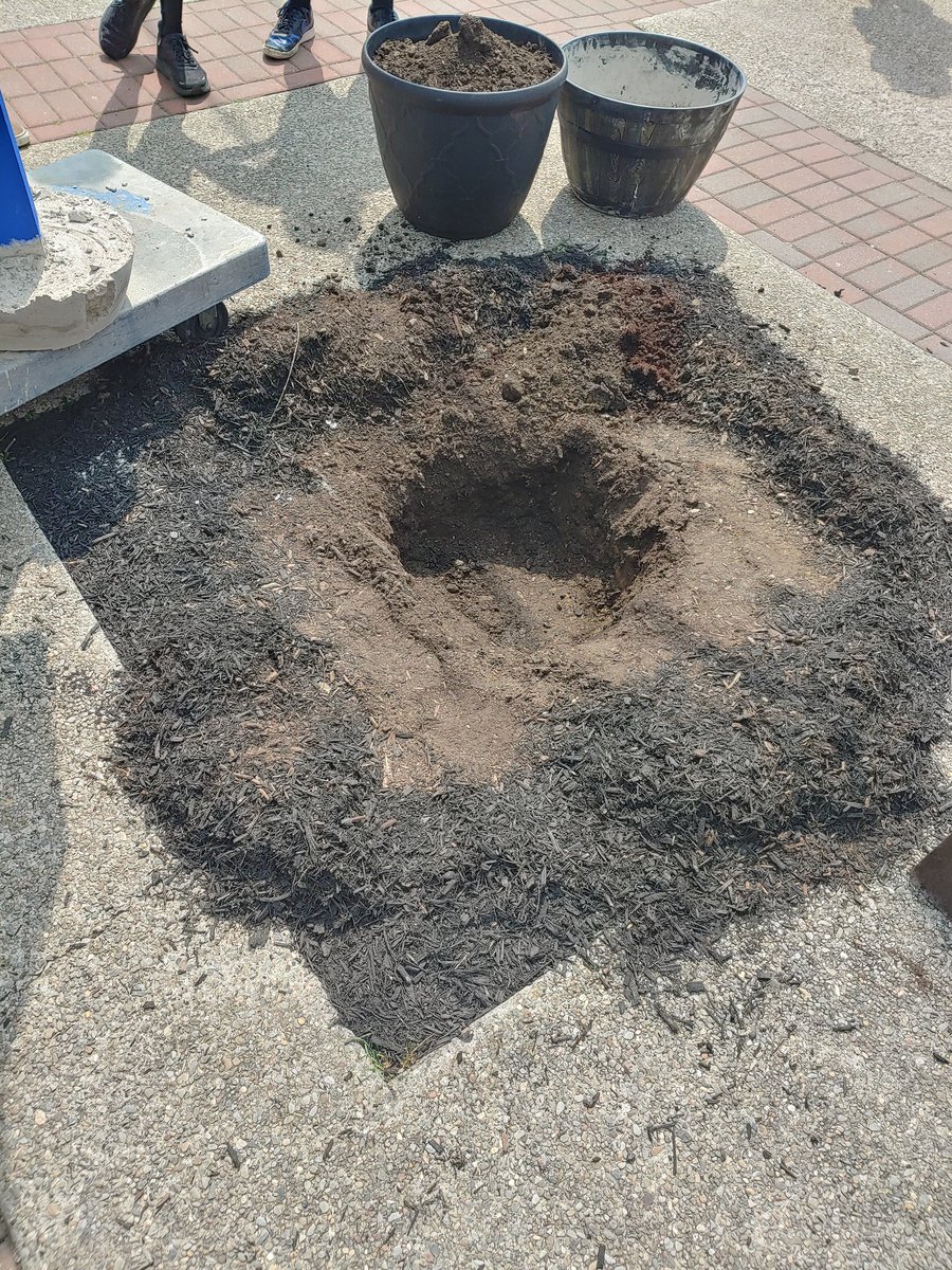 The new free miniature library built by Design Technology is open for business.  Located in between the middle and high school entrance.