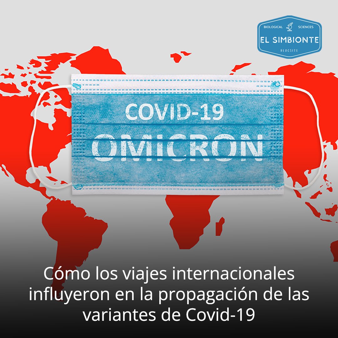 Cómo los viajes internacionales influyeron en la propagación de las variantes de Covid-19
wp.me/peBBKU-Dv
.
.
💻 elsimbionte.com
📷 Créditos a quien corresponda.
.
.
#covid19 #covid #covid_19 #covidvacccine #covid19india #fightcovid19 #stopcovid19 #covid19pandemic