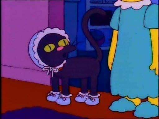 Memes Universidad Nacional tweet media