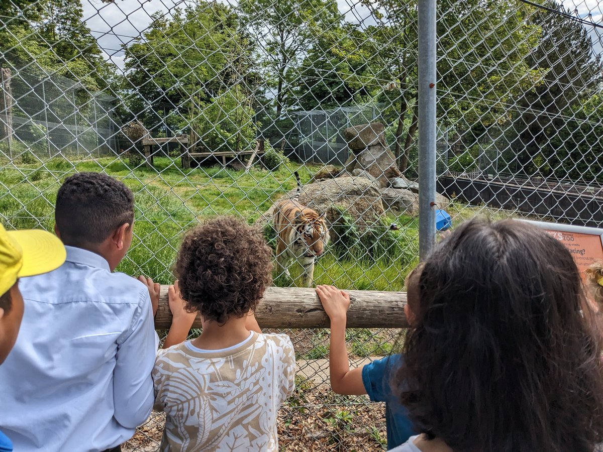 Cathedralplym's tweet photo. Thanks @DartmoorZoo for a great visit today! Our #Adventurers Class children have kicked off their #Conservation topic by exploring the habitats of the different animals and the threats that they face. #schoolofJOY #outdooreducation #learnoutsidetheclassroom @PlymouthCAST https://t.co/mTBD7O9KxZ