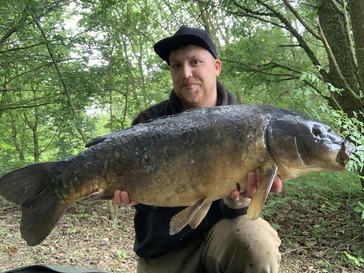 HindersFishing's tweet photo. I enjoyed two nights at my new syndicate, a very weedy clear pit with around 40 carp I found a lovely spot near some dense weed where they’d been showing and placed 2 rods with around 15 spods of 12mm/chopped Nut 365 and corn.
Thomas 

#nut365 https://t.co/dmGj79GG7L