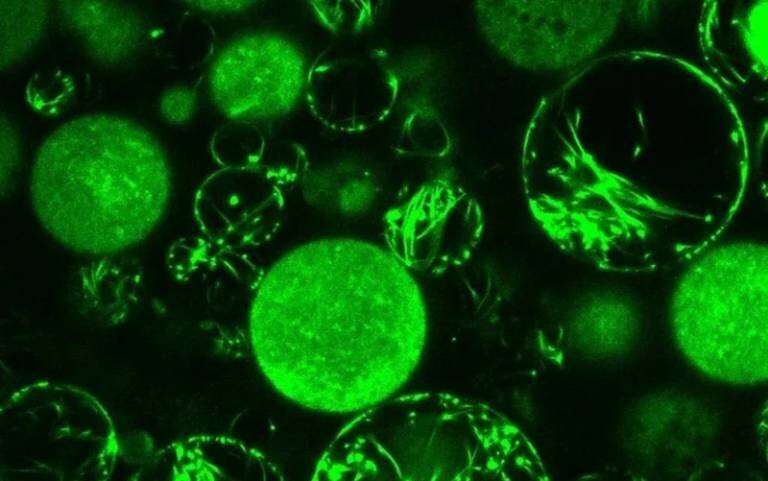 Nanotechnology tweet media