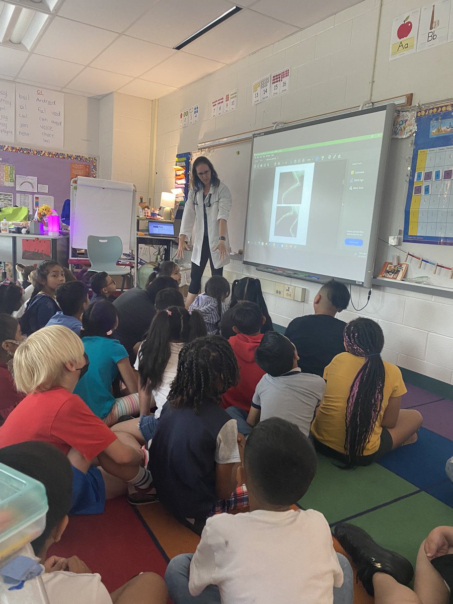 Andrea Otarola tweet media