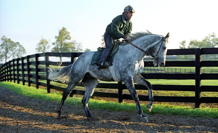 HORSERACING1002's tweet photo. SILVER CHARM🇺🇸1994
(SILVER BUCK - BONNIE'S POKER BY POKER)#SilverCharm
B/ Mary Lou Wootton (Fl) Feb 22, 1994
O/ R. &amp; B. Lewis
T/ Bob Baffert
OBSAUG $16,500
OBSAPR $100,000
24-12-7-2--$6,944,369
1997 Champion 🏆 3yo Colt. 
Del Mar Futurity G2,  @KentuckyDerby G1,  @PreaknessStakes https://t.co/V5FYsLBQTG