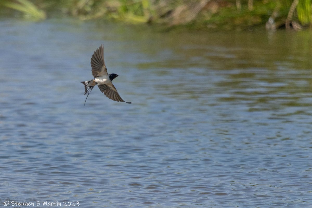 While on Holiday last week near Penrith