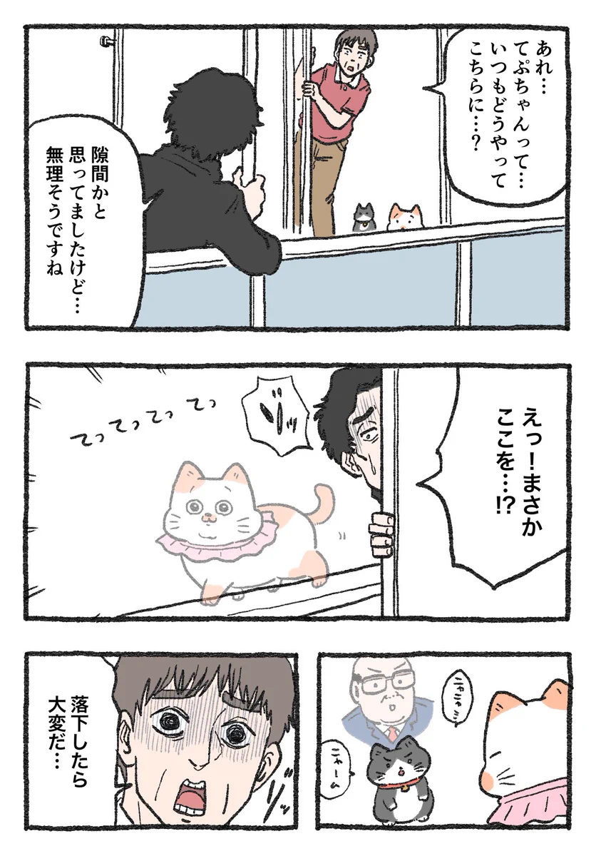 「ねこ転」その128が公開！いつも窓の外にいるてぷちゃん、そういえばどうやって…？
