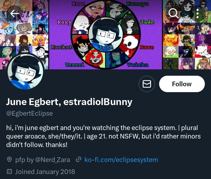 Ok so recently eclipse got a banger tweet and I wanna remind you all that @/egberteclipse is a fucking freak so please do not follow them. This screenshot is old. It used to have the username estroBiohacker too, if that rings a better bell from a callout from September last year.