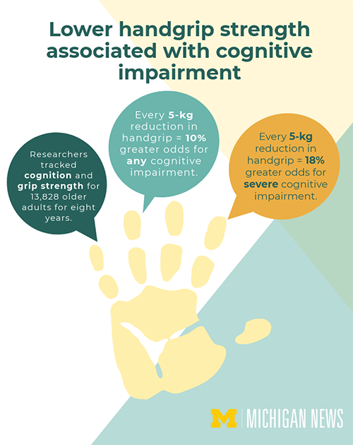 "Association btw Grip Strength and impaired Cognition/Memory Loss in older adults"

Every 5-kg⬇️in grip strength is linked to👇
>10% greater odds for any cognitive impairment
>18% greater odds for severe cognitive impairment

Graphic Credit: Michigan News
pubmed.ncbi.nlm.nih.gov/31322562/