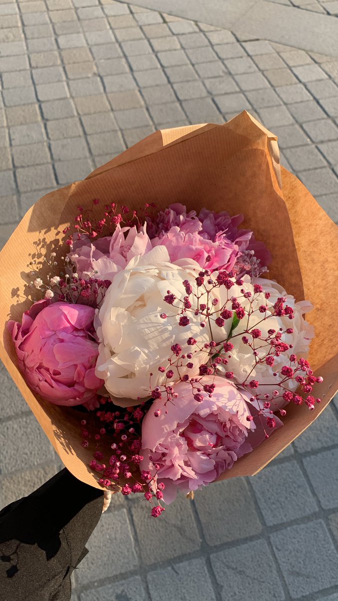 l4nister's tweet photo. les pivoines !!!! https://t.co/YrIkkymAmq