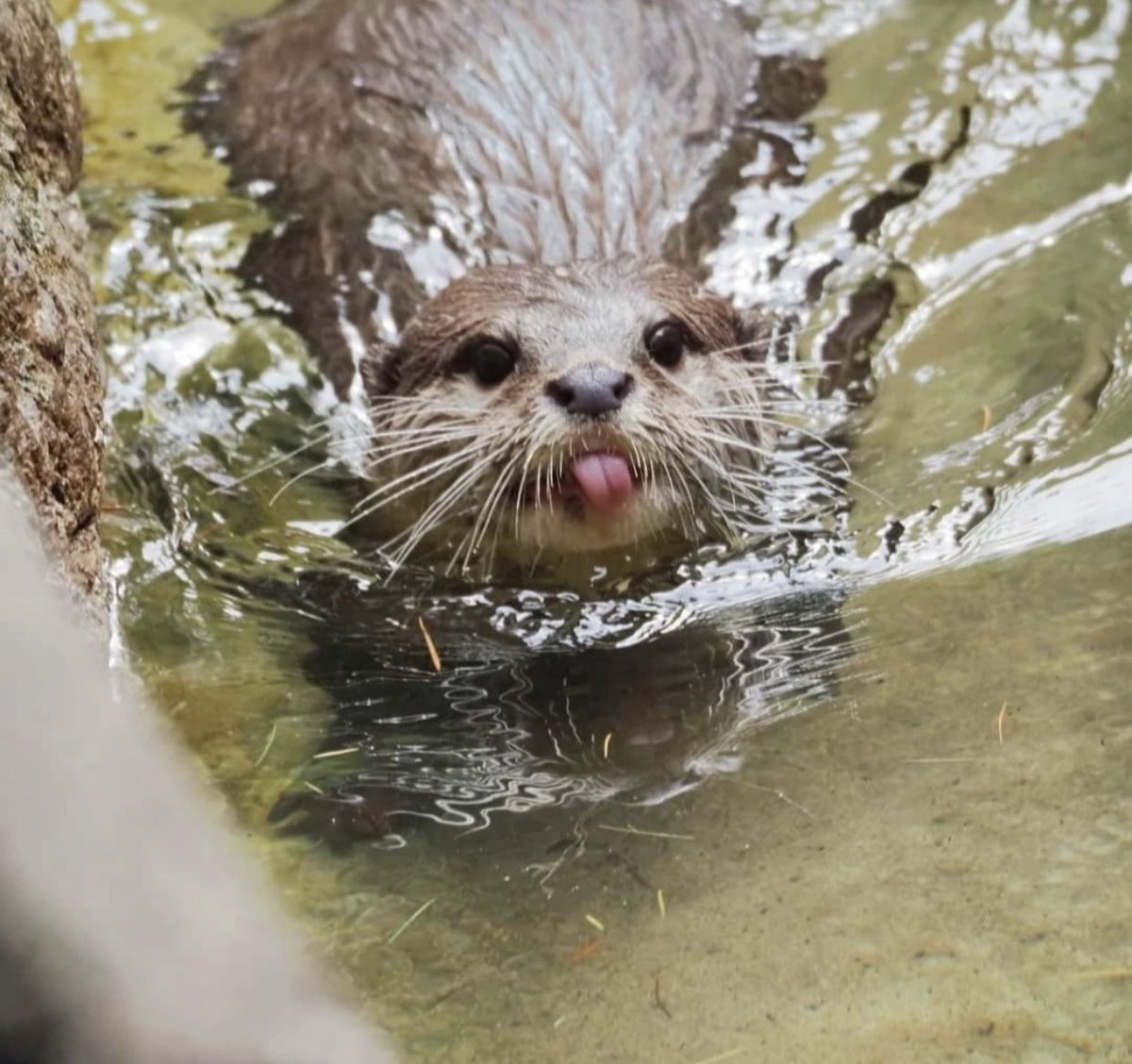 baila (@baila_fm) on Twitter photo 