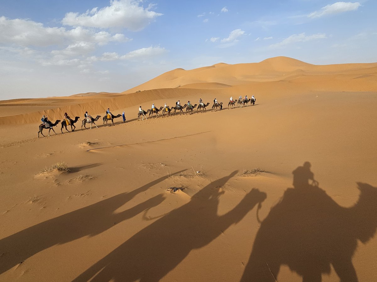 VMI1839's tweet image. Exploring the sands of Morocco with Project GO!

For seven weeks, cadets in Project GO will immerse themselves in the city of Fes and spend around 150 hours learning Arabic.

Discover the transformative power of #ProjectGO: rotcprojectgo.org/about-project-….

📷: Nicholas Feher &apos;26.