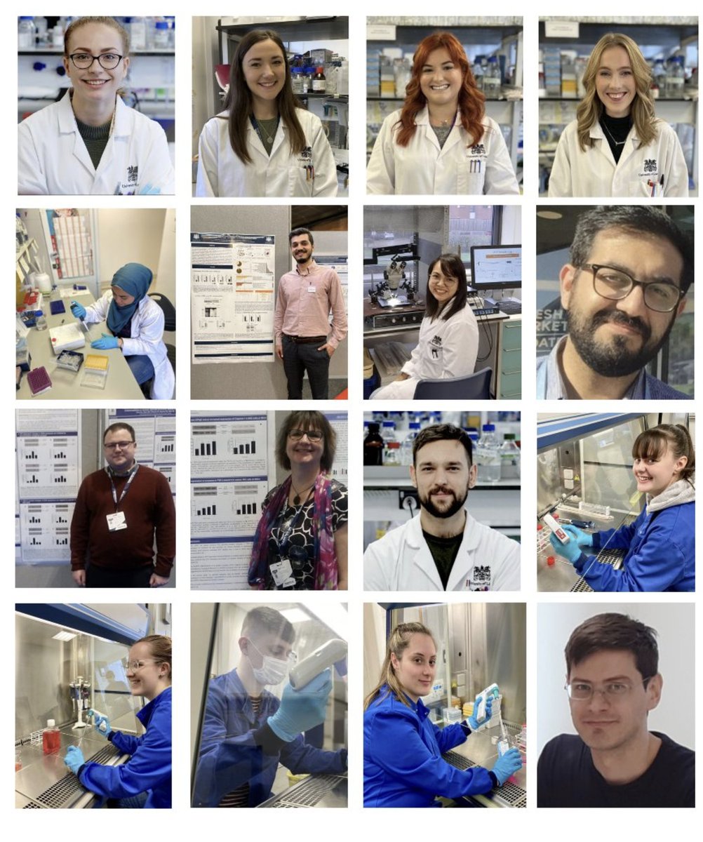 Lincoln School of Natural Sciences (@uollifesciences) on Twitter photo Together researchers at <a href="/UoLLifeSciences/">Lincoln School of Natural Sciences</a> are working in the field of #Diabetes to #HelpFindACure . ECRs are the lifeblood of our research & today, as part of #DiabetesWeek2023 , we thank both past and present members of <a href="/dmi_lincoln/">DMI Group - Lincoln</a> for their contribution to the field 👏👏👏👏 Together researchers at <a href="/UoLLifeSciences/">Lincoln School of Natural Sciences</a> are working in the field of #Diabetes to #HelpFindACure . ECRs are the lifeblood of our research & today, as part of #DiabetesWeek2023 , we thank both past and present members of <a href="/dmi_lincoln/">DMI Group - Lincoln</a> for their contribution to the field 👏👏👏👏
