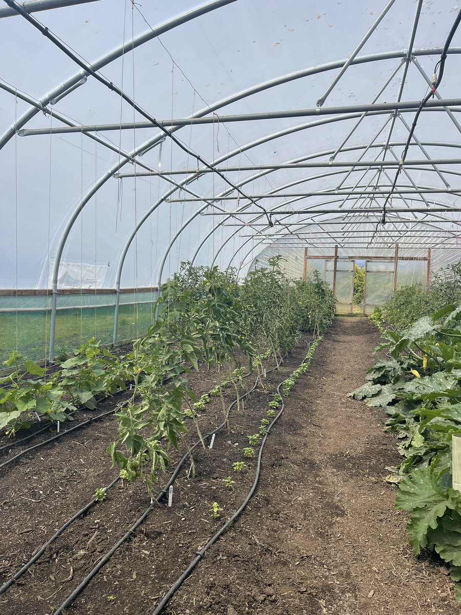 WaveCareers tweet media