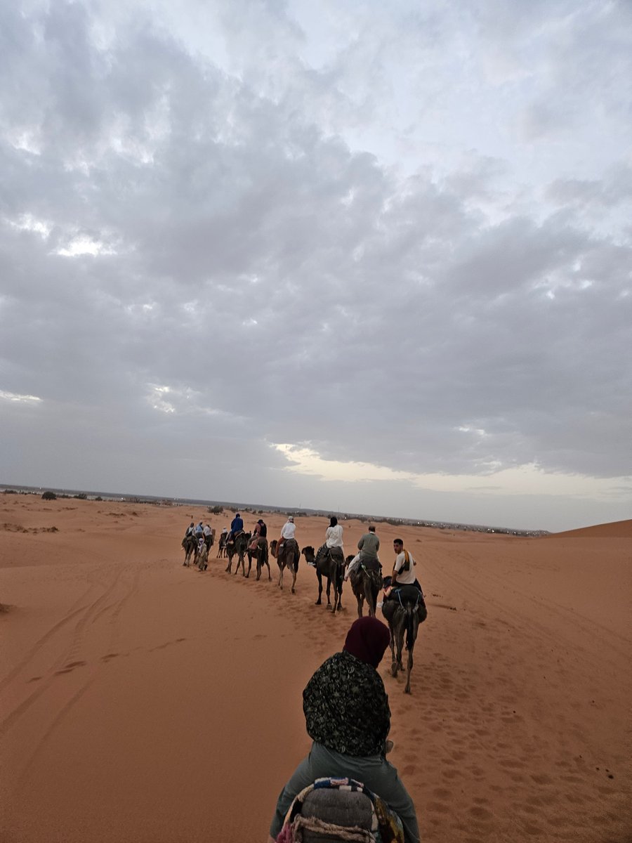 VMI1839's tweet image. Exploring the sands of Morocco with Project GO!

For seven weeks, cadets in Project GO will immerse themselves in the city of Fes and spend around 150 hours learning Arabic.

Discover the transformative power of #ProjectGO: rotcprojectgo.org/about-project-….

📷: Nicholas Feher &apos;26.