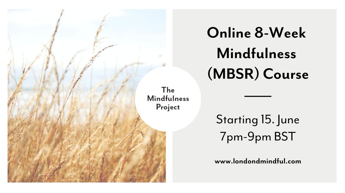 LondonMindful's tweet photo. Our next online 8 Week Mindfulness (MBSR) course starts next Tuesday 6.June. Book you place here: https://t.co/8F03AKsQWb
#mbsr #mindfulness #8weekcourse #starttoday https://t.co/M5Cjs16JMK