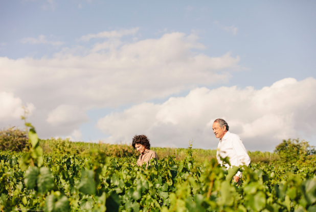 HarpersWine's tweet photo. Maison Bruno Paillard appoints @Wanderlustwine_  as UK distributor - Harpers Wine &amp; Spirit Trade News https://t.co/TyLObgFnrN https://t.co/slECyfW3Vy