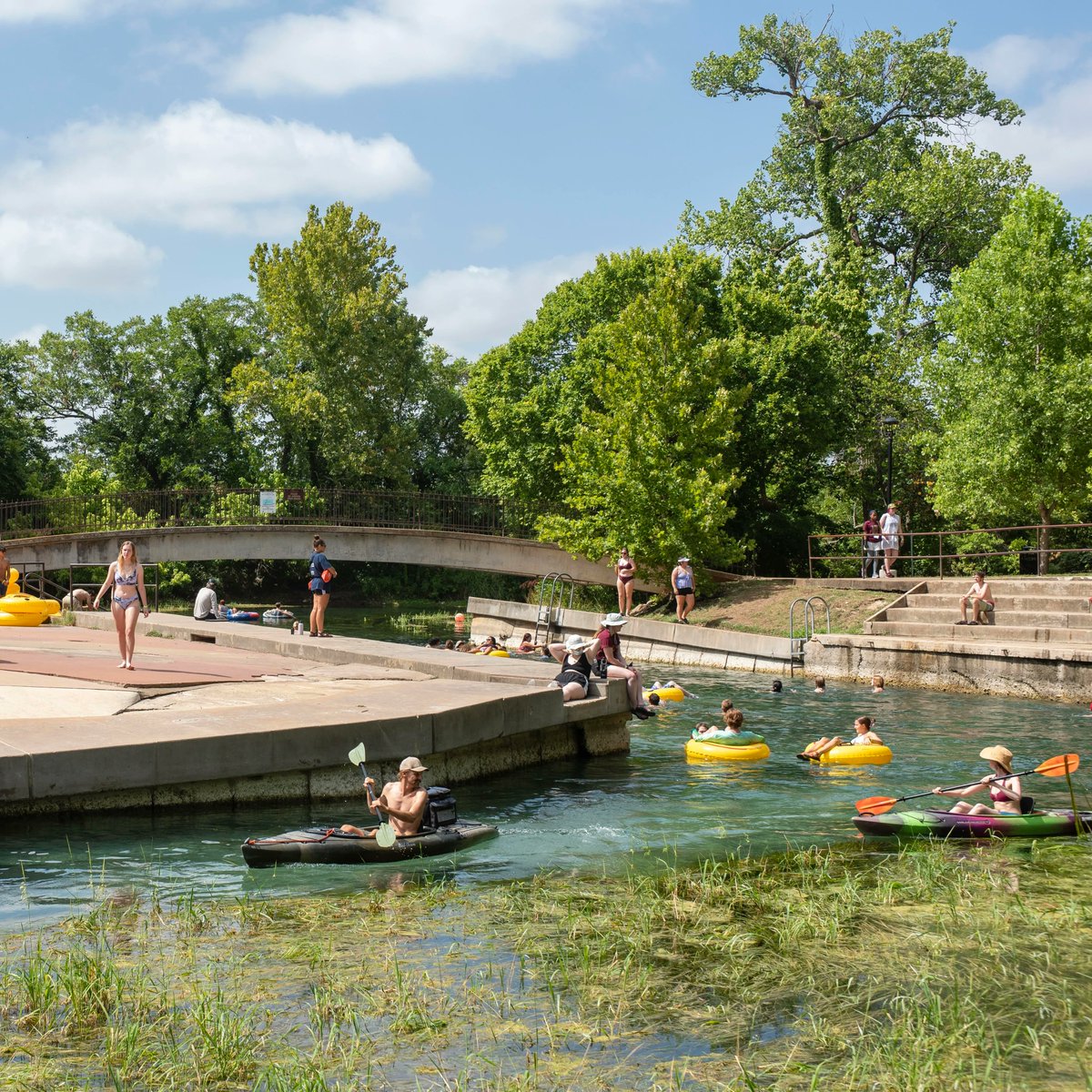 Generación STEM tweet media