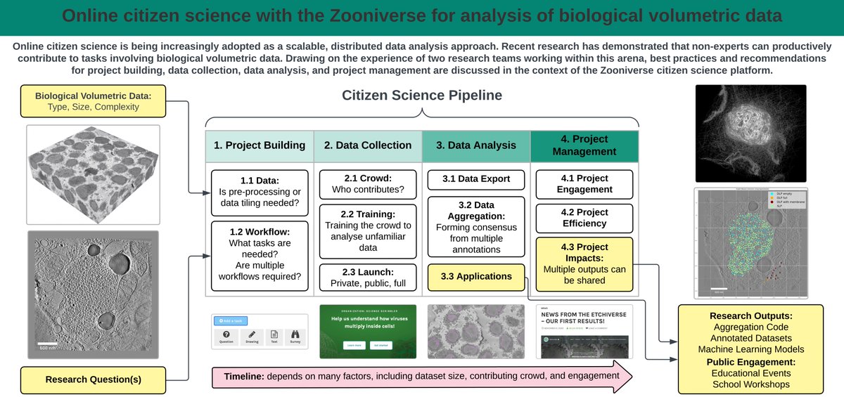 📢HOT OFF THE PRESS📢 Our new paper, in collaboration with the @EtchACell team at @TheCrick, @DiamondLightSou and @RosFrankInst shares our collective experience in using @the_zooniverse for #citizenscience projects using biological #volumeEM data: rdcu.be/dd0Mh