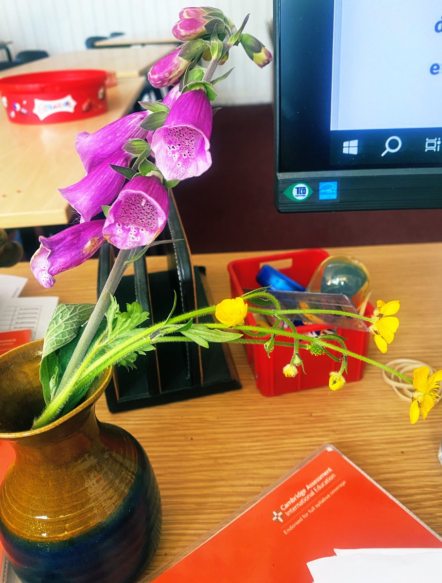Sedbergh_MFL's tweet photo. Toni, Fran and Carmen have been bringing flowers the last few lessons to cheer us up. Last lessons before the final Spanish exam on Wednesday! Good luck girls 🍀 https://t.co/1IqQlLOf8J