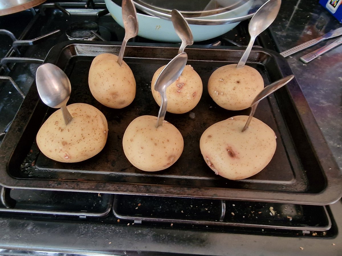 OurAllotment's tweet photo. Will this cook jacket potatoes quicker https://t.co/oDVWooKQua