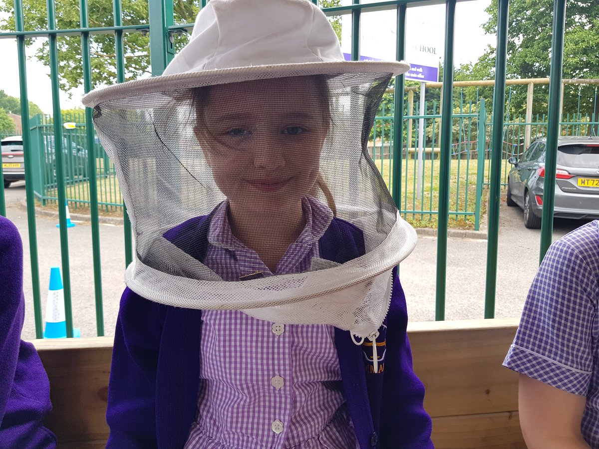 Emmaus_School's tweet photo. #EmmausY3 had a buzzing time with @B4Biodiversity as we looked inside an observation hive, tried honey straight from the honeycomb and learnt about the queen bee, worker bees and drone bees. 🐝What a brilliant lesson! Thank you! #EmmausScience https://t.co/4c3N5Aukln