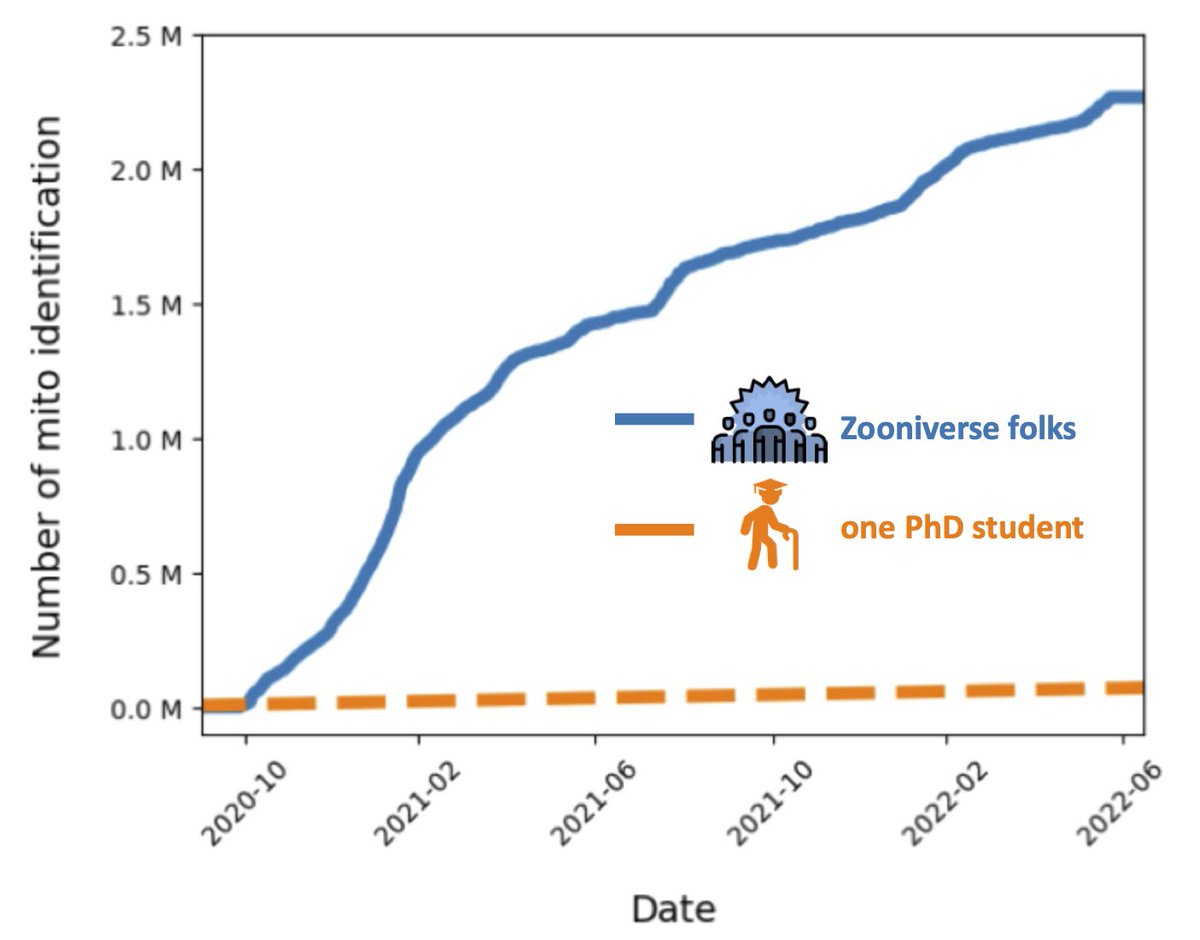 Why do we need citizen science? Take #PlacentaProfiles for example: our #volunteers picked out 2.23M potential mitochondria in just 18 months – a number that would take a single researcher years to match. The #power of the #crowd indeed 💪