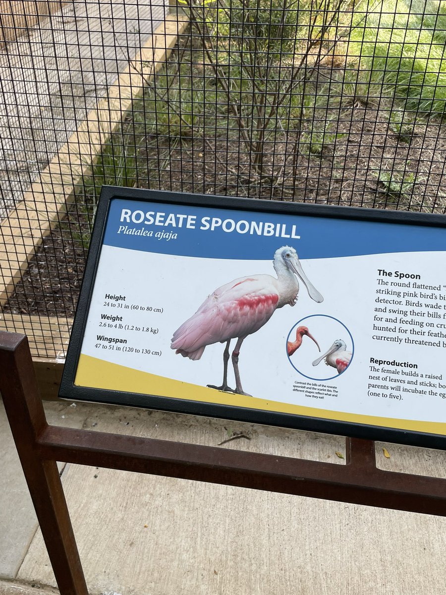 Calamity Kate tweet media