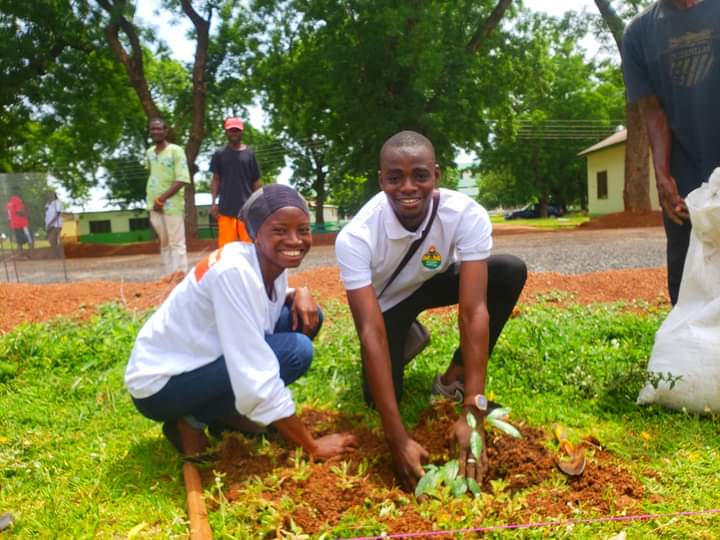 citizen_hamdan's tweet photo. Green Ghana Day. https://t.co/ARKg9eCjzF