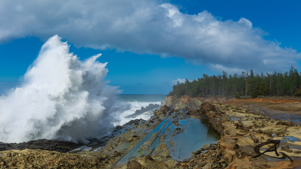 Anna Sereno tweet media