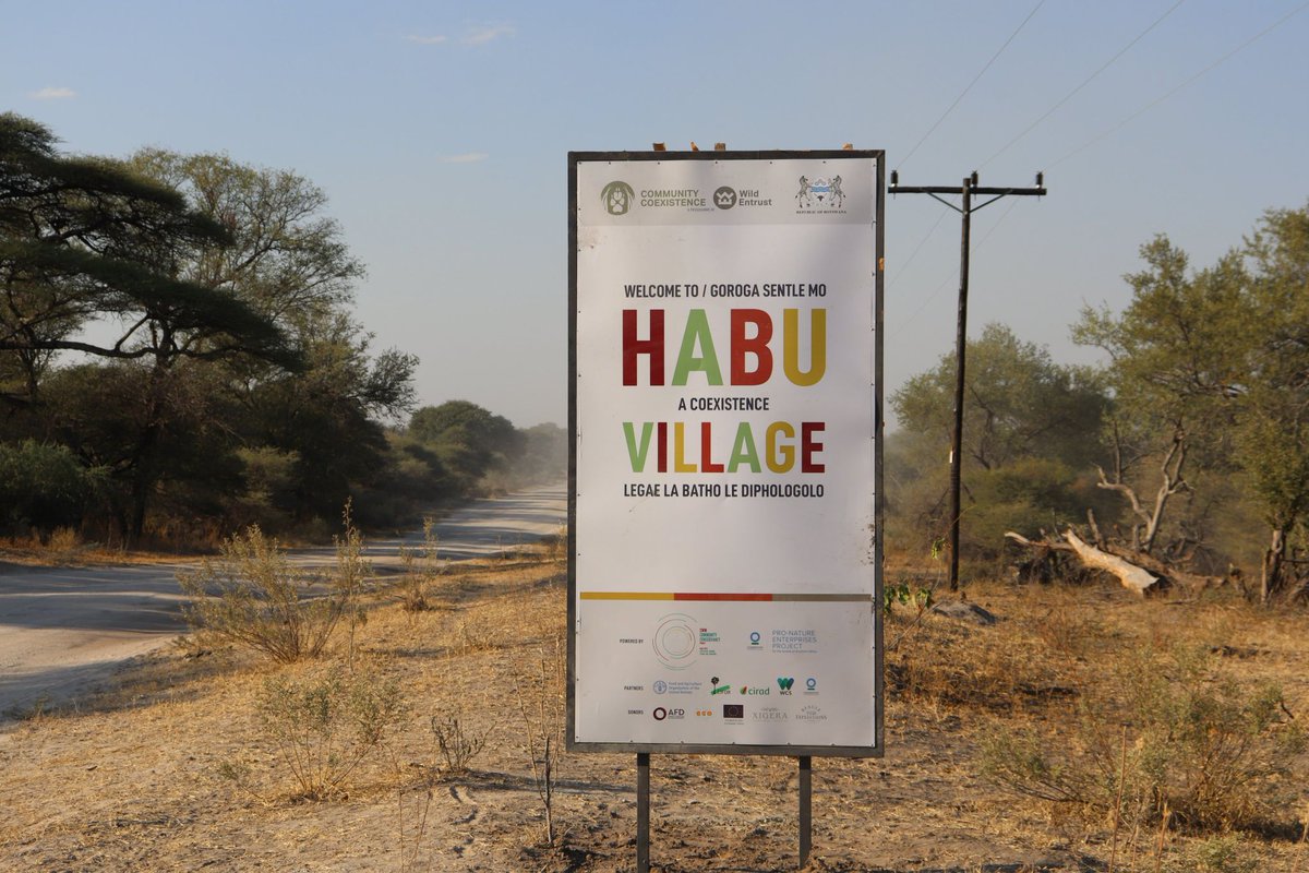 Located in Western Ngamiland, Habu aims to become a model for coexistence in Botswana. Under the leadership of the Habu Community Development Trust, several initiatives under the #SWMProgramme and in partnership with @WildEntrust and @BWGovernment have been ongoing since 2021.