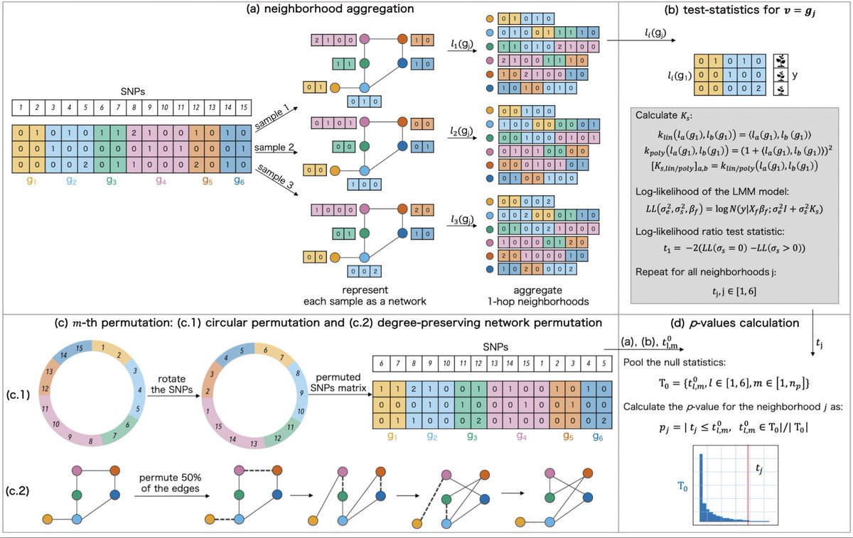 antisense. tweet media