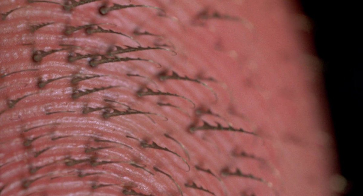 Probably a hot take, but I prefer Raimi's implied body horror take on Spider-Man.

Organic webbing and whatever the fuck with Peter's fingers.