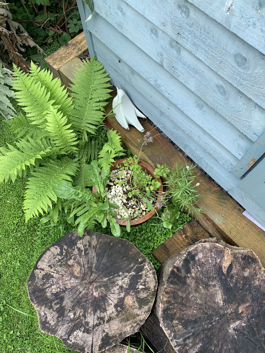 BarbaraOMearART's tweet photo. ‘The Sage Hut’ my writing shed retreat… catching up on some poems for submissions, new projects and pieces of writing for  Girl God Books  after a truly inspiring week on Inishturk with Yvonne Cullen's Writing Train last month https://t.co/rGEQeBpBaz https://t.co/LnXY1tsy9L