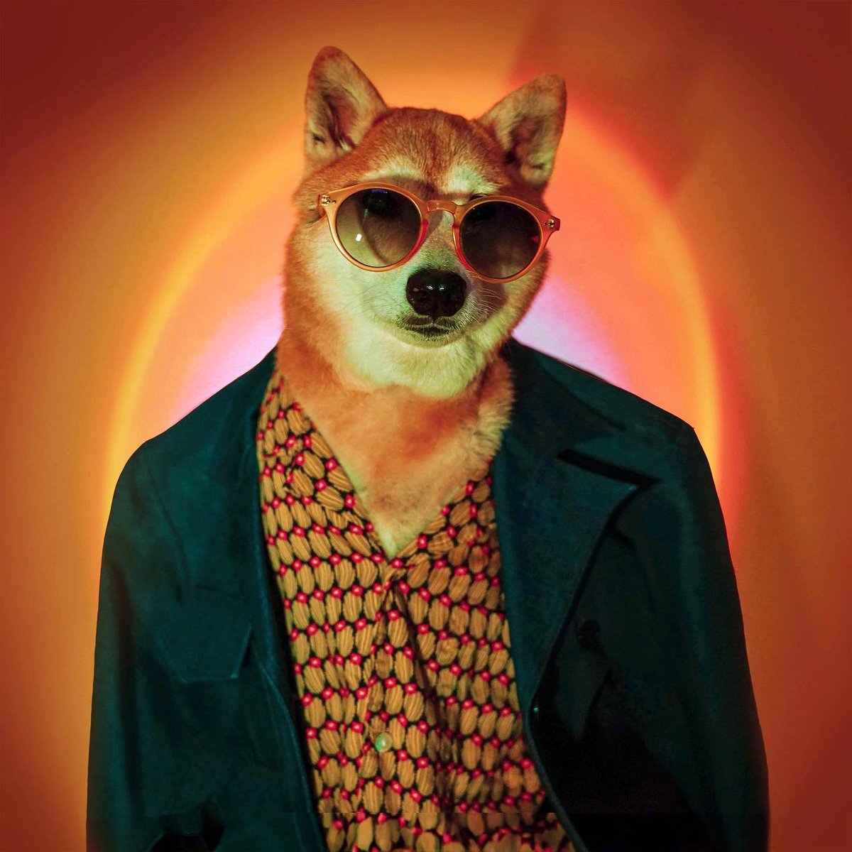 Peek the start of my mustache and pls hype me up because I’m still self-conscious about it 

that’s all folks- TYSM 😎🥸🐾