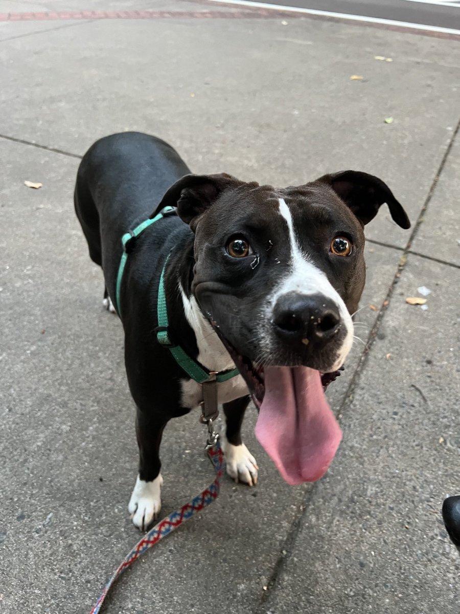 Mike Steely tweet media