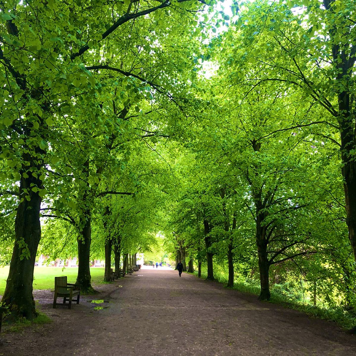 #greatbiggreenweek JOIN! a FREE guided walk from Kenwood House to Golders Green Station through Hampstead Garden Suburb, run by expert guide and historian Mark King, #kenwoodhouse #hampsteadgardensuburb 
DEPART @EHKenwood Brew House Café 2.30pm, finish at Golders Green station.