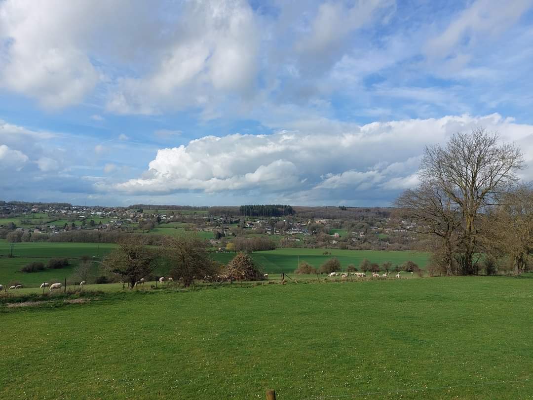 Suite à une interpellation de <a href="/VeroniKCremasco/">Veronica Cremasco</a> au parlement wallon, <a href="/wborsus/">Willy BORSUS</a>
souhaite legiférer en matière de vente de terres agricoles publique!
@canopea_be <a href="/Terre_en_vue_/">Terre-en-vue</a> @FUgEA <a href="/UNAB_BIO/">Union Nationale des Agrobiologistes Belges</a> @Natagora <a href="/CATL_be/">CeintureAlimentTerre</a> 
sudinfo.be/id674653/artic…