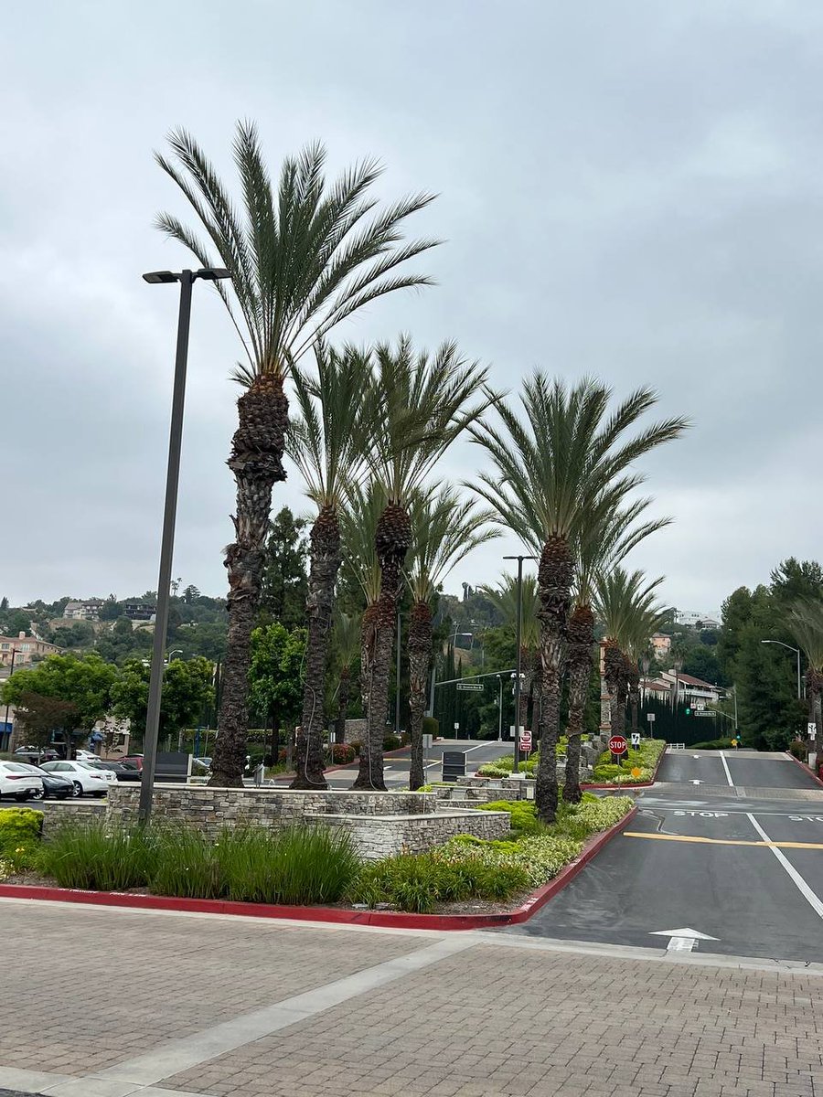 rubycalime84's tweet image. The sky is so cloudy today just like how I feel right now