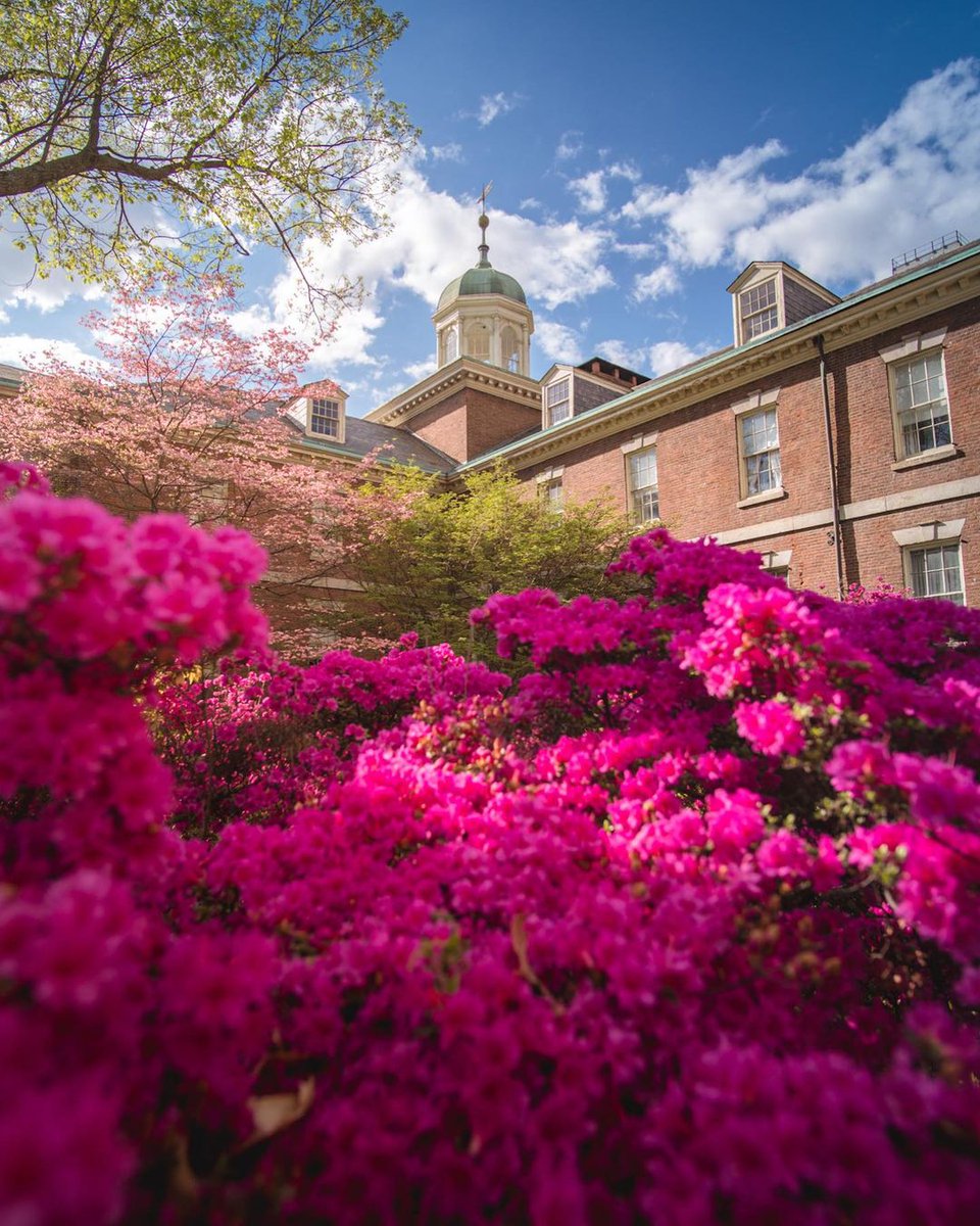 Find the bright spots in everyday moments. 💕
📸: instagram.com/pp.opol
#StartHere #VisitPhilly #DiscoverPHL