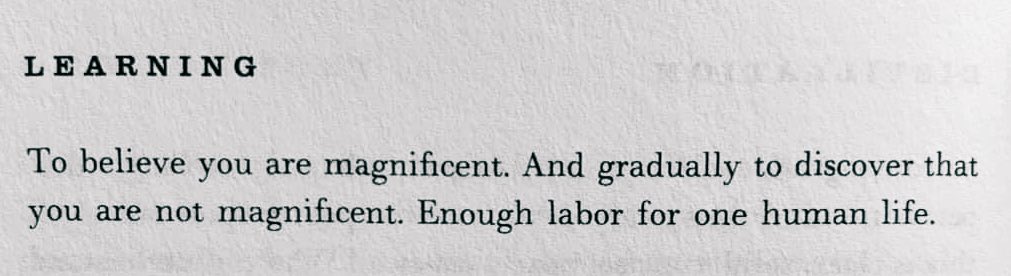 Maja Lukić tweet media