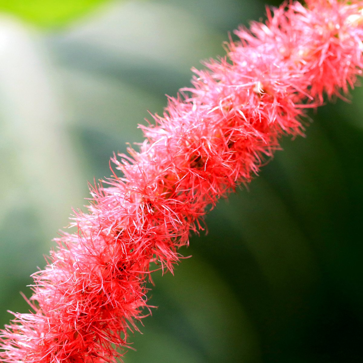 William Hulbert Photography tweet media