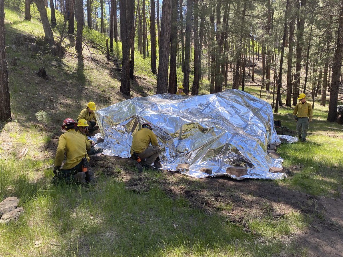 CoconinoNF's tweet image. Crews on the #WilburFire continued prep work, improved roads and protected culturally sensitive resources over the weekend.