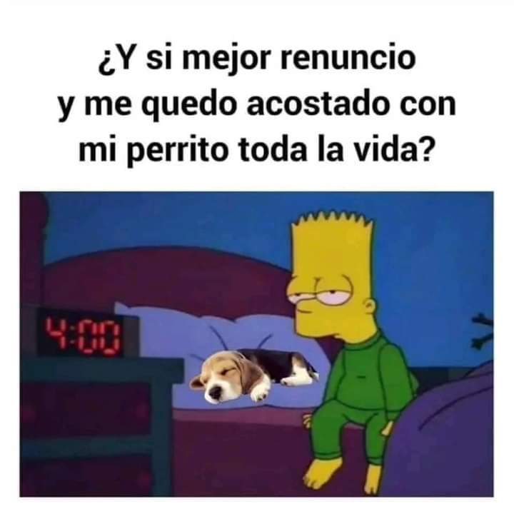 vania__vg's tweet photo. Sería un buen detalle 💜 https://t.co/cn5wcNJnz3